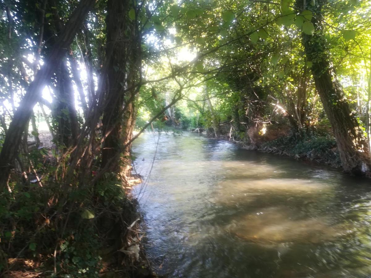 La Libellula Bed and Breakfast Villorba Εξωτερικό φωτογραφία